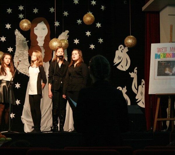 IMG_8222 IMG_8222